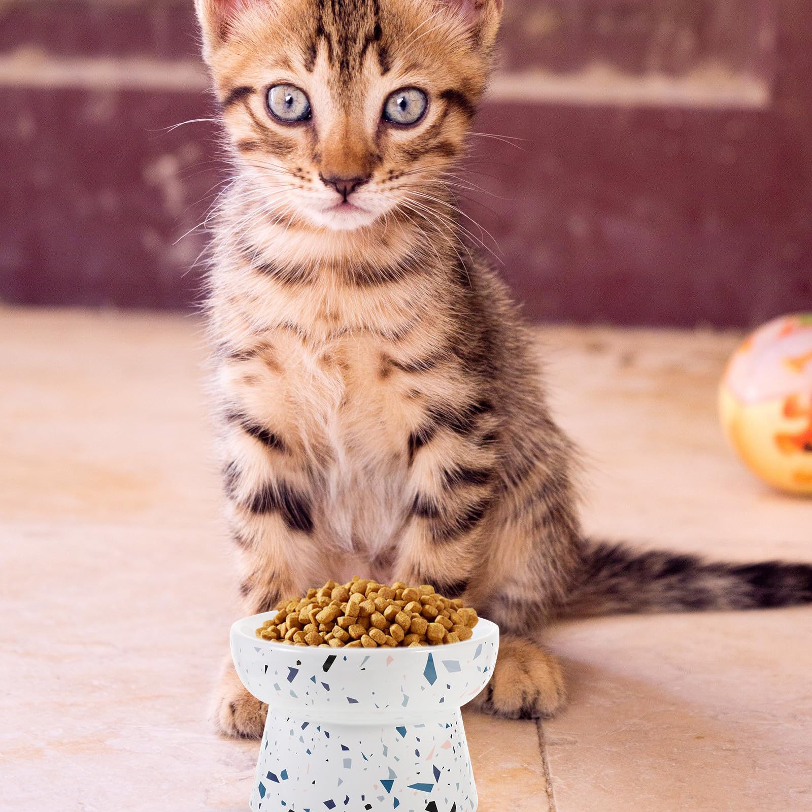 VALICLUD Erhöhter Keramik Katzennapf mit Großer Kapazität rutschfest und Leicht zu Reinigen für Katzen und Hunde zum Füttern im Alltag