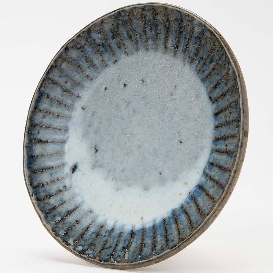 信楽焼　大皿 楽天市場】【今だけ限定10%OFFクーポン】信楽焼 丸皿 大皿 楕円