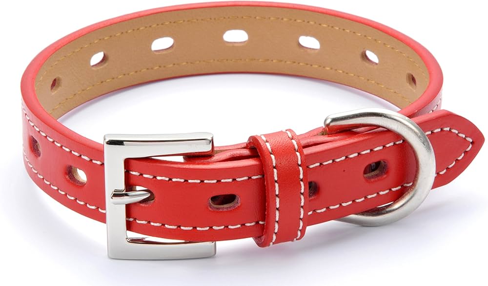 Amazon | 犬 首輪 おしゃれ かわいい ブランド 中型犬 小型犬 超小型犬 Amazon | 犬 首輪 おしゃれ かわいい ブランド 中型犬 小型犬 超小型犬