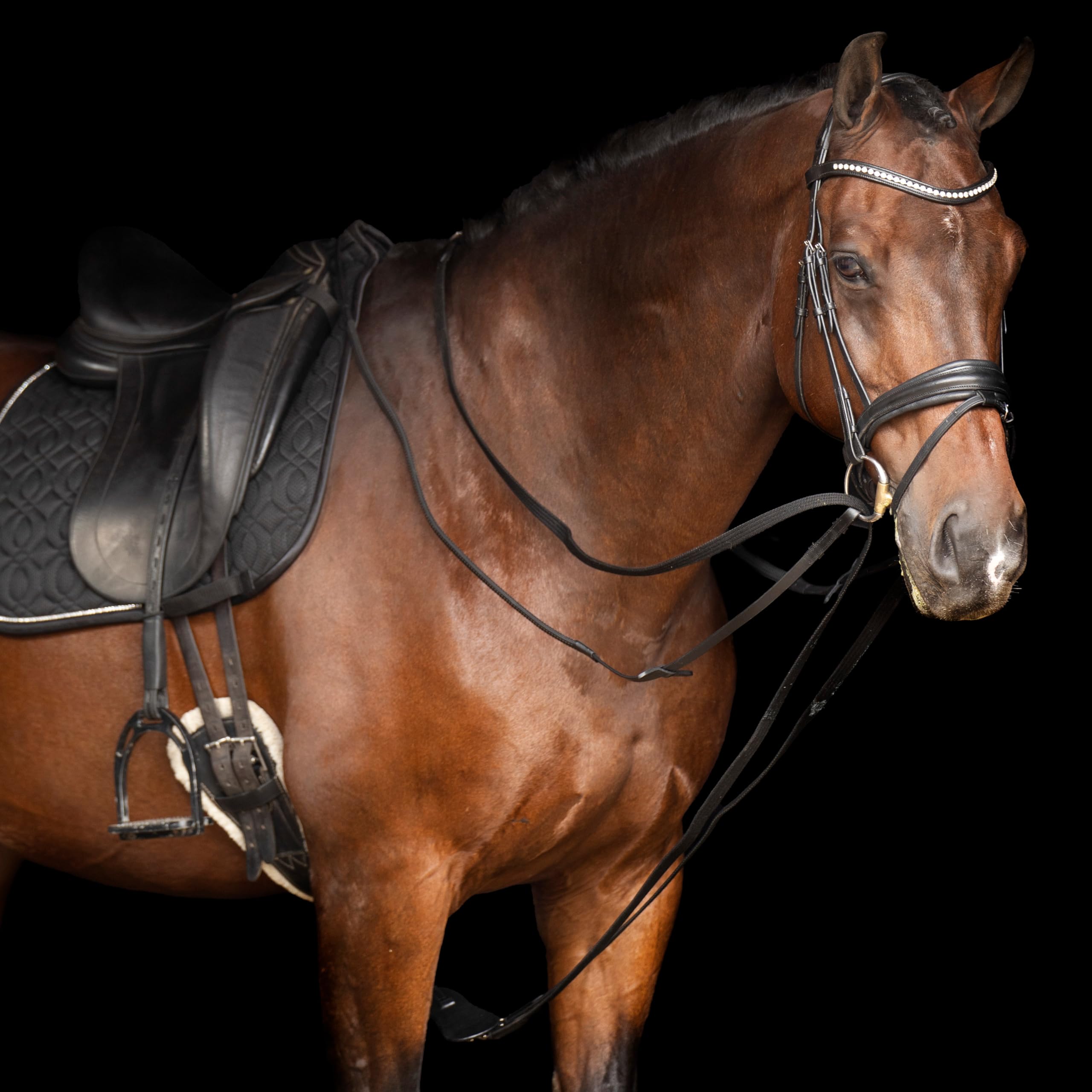 Imperial Riding Schlaufzügel IRH Core, Baumwoll-Webzügel mit Karabinerhaken, 270 cm, Schwarz, 1SIZE