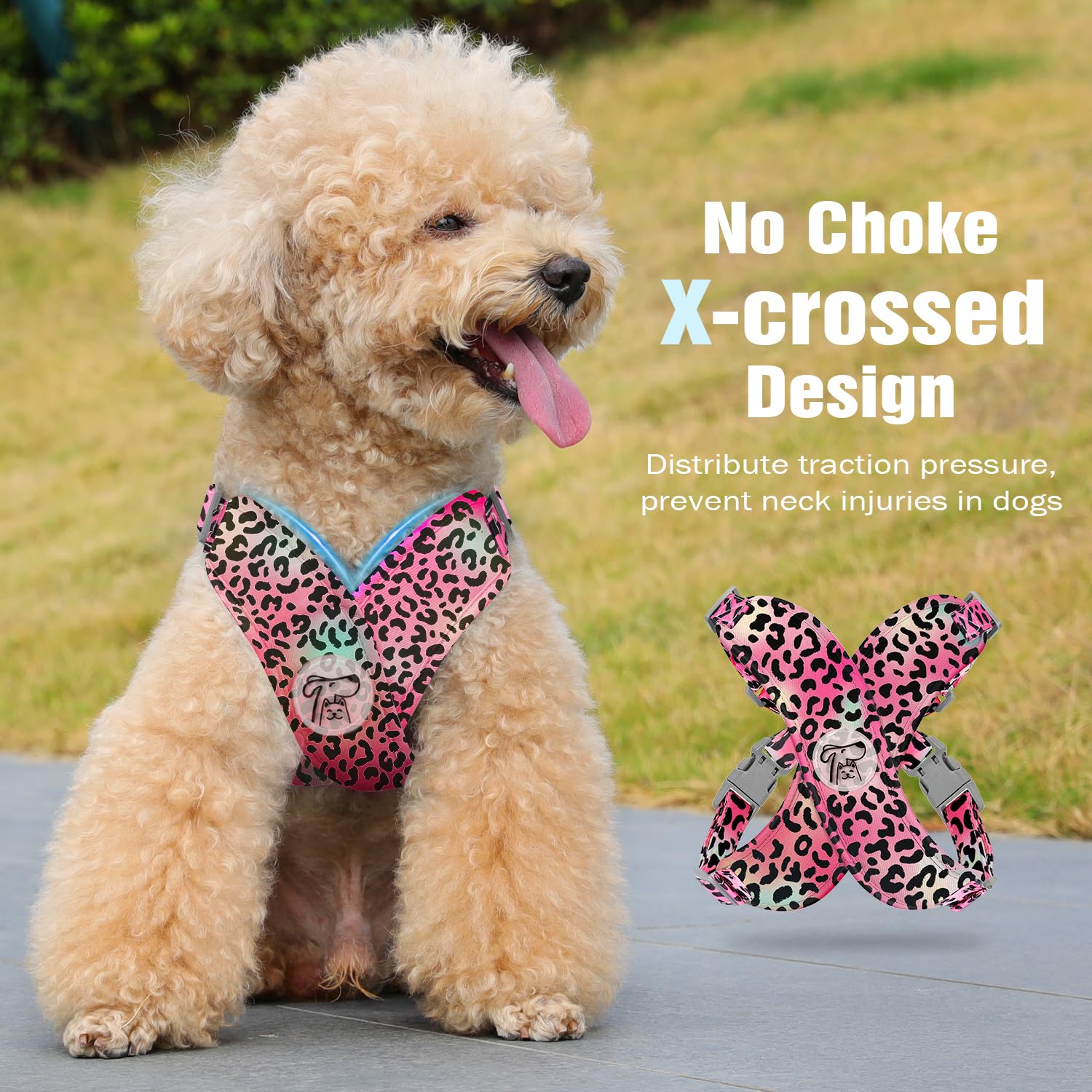 Pawaboo Small Dog Harness and Leash Set, Puppy Harness X-Frame No Pull No Choke - Image 3