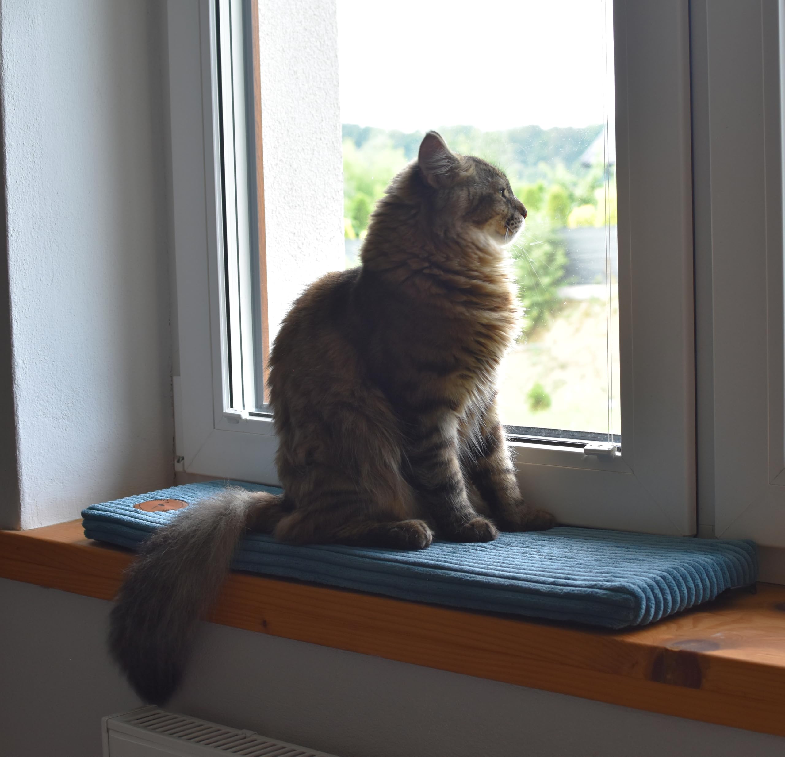 Prime Cat Window Lounger for Cats, Window Sill with a Non-Slip Back, Cat Bed Window Sill 50cm x 20cm Made in the European Union (Petrol Blue, 50 x 20 x 3 cm)