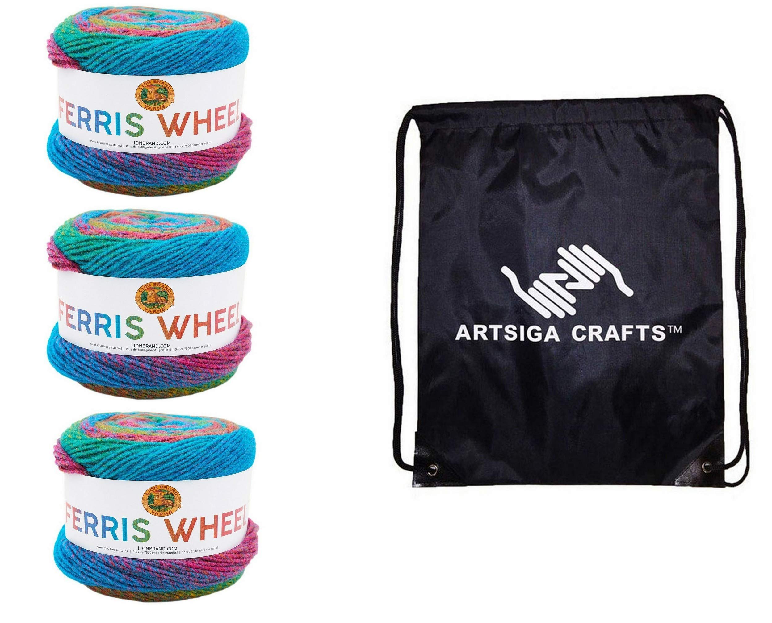 Lion Brand Yarn Knitting Ferris Wheel Sprinkles 3-Skein Factory Pack (Same Dye Lot) 217-604 Bundle with 1 Artsiga Crafts Project Bag