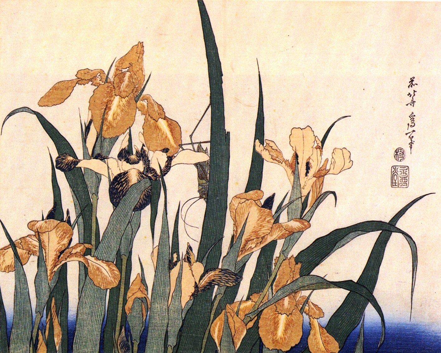 Toile Cadre - Sauterelle Et Iris De Katsushika Hokusai - Neuf Prêt à Accrocher - Déco Murale