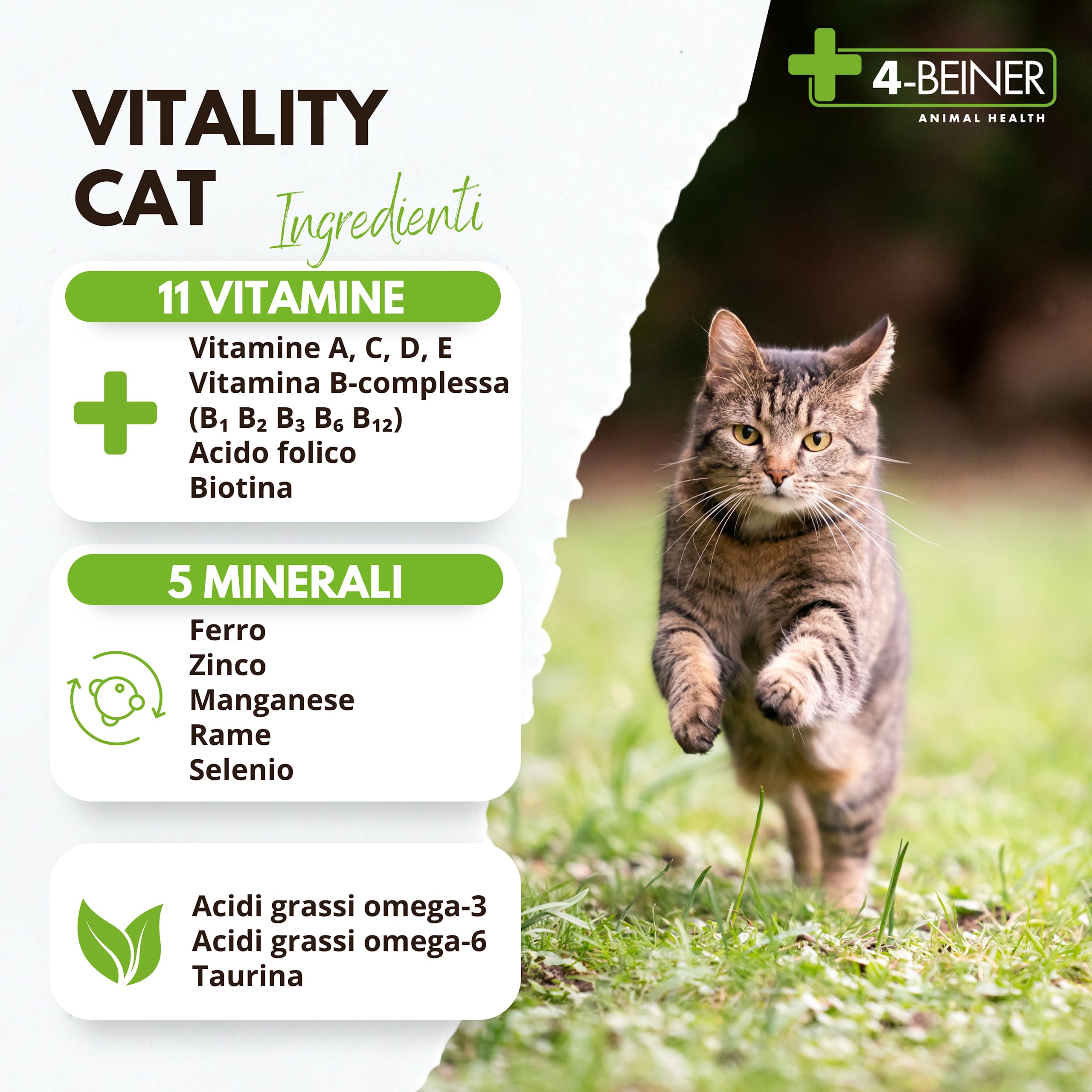 4-BEINER VITALITY-CAT, 11 vitamine per gatti più Omega 3, Omega 6, Zinco, Selenio, Manganese, Rame, Ferro, Taurina, Multivitamine per gatti, polvere