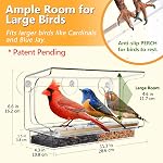LUJII Shatterproof Fenêtre Bird Feeder avec des coupes d'aspiration plus fortes, Wild Bird Feter pour l'extérieur Nourriture, toute une pièce non collée, convient aux oiseaux plus grands comme Cardinal ou Blue Jay, clair