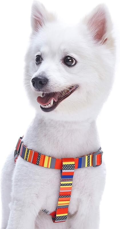 Essentials Step-in Nautical Flags Inspired Designer Dog Harness, Chest Girth 16.5" - 21.5", Small, Adjustable Harnesses for Dogs