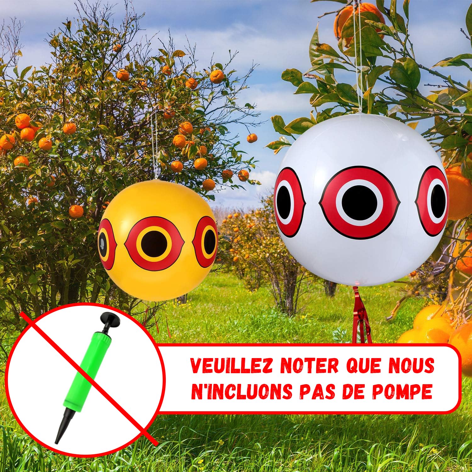 Ballon Anti-Oiseaux avec Yeux, Lot de 3, Répulsif pour Pigeons avec Corde, 3 Couleurs