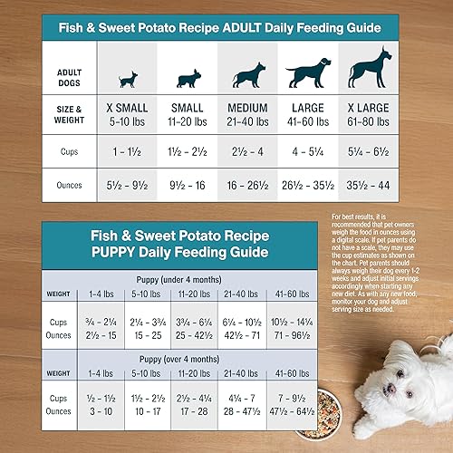 Miniatura 52 de JustFoodForDogs Alimento fresco congelado para perros, comida completa o alimento para perros, receta de comida para perros de grado humano