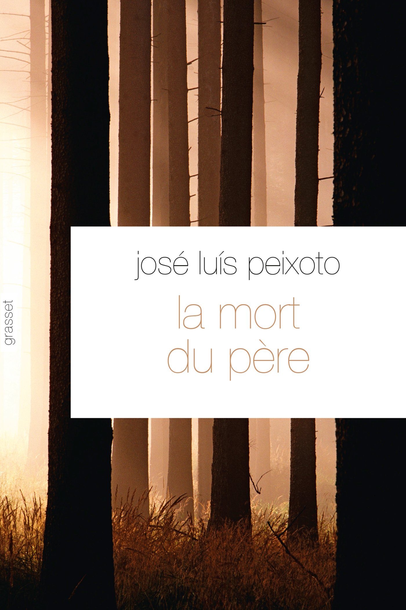 La mort du père: Traduit du portugais par François Rosso (Littérature Etrangère) (French Edition)