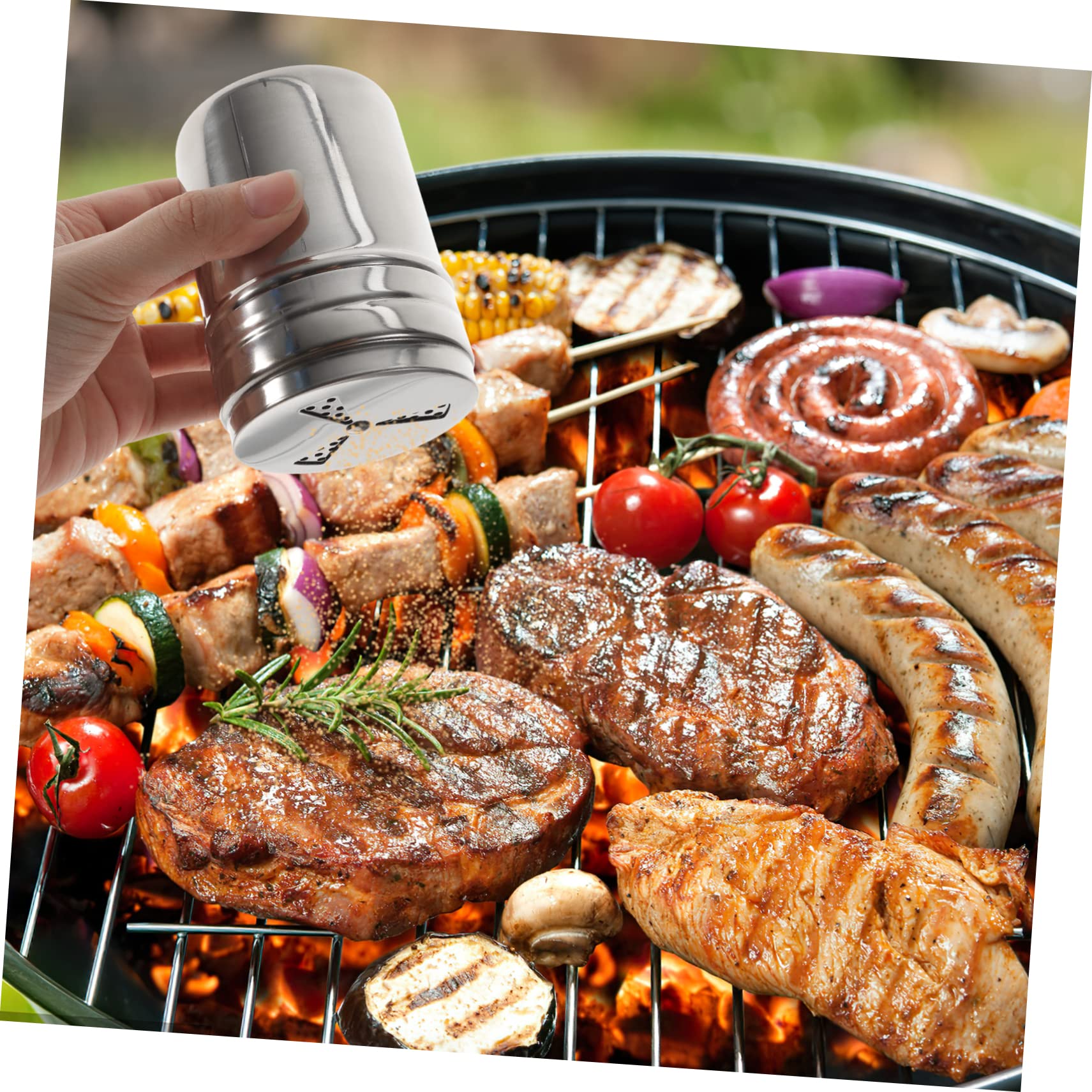 Ciieeo Portable Spice Dispenser Seasoning Shaker for Kitchen Restaurant and Dining Room Airtight Storage Container for Salt Pepper and Seasonings