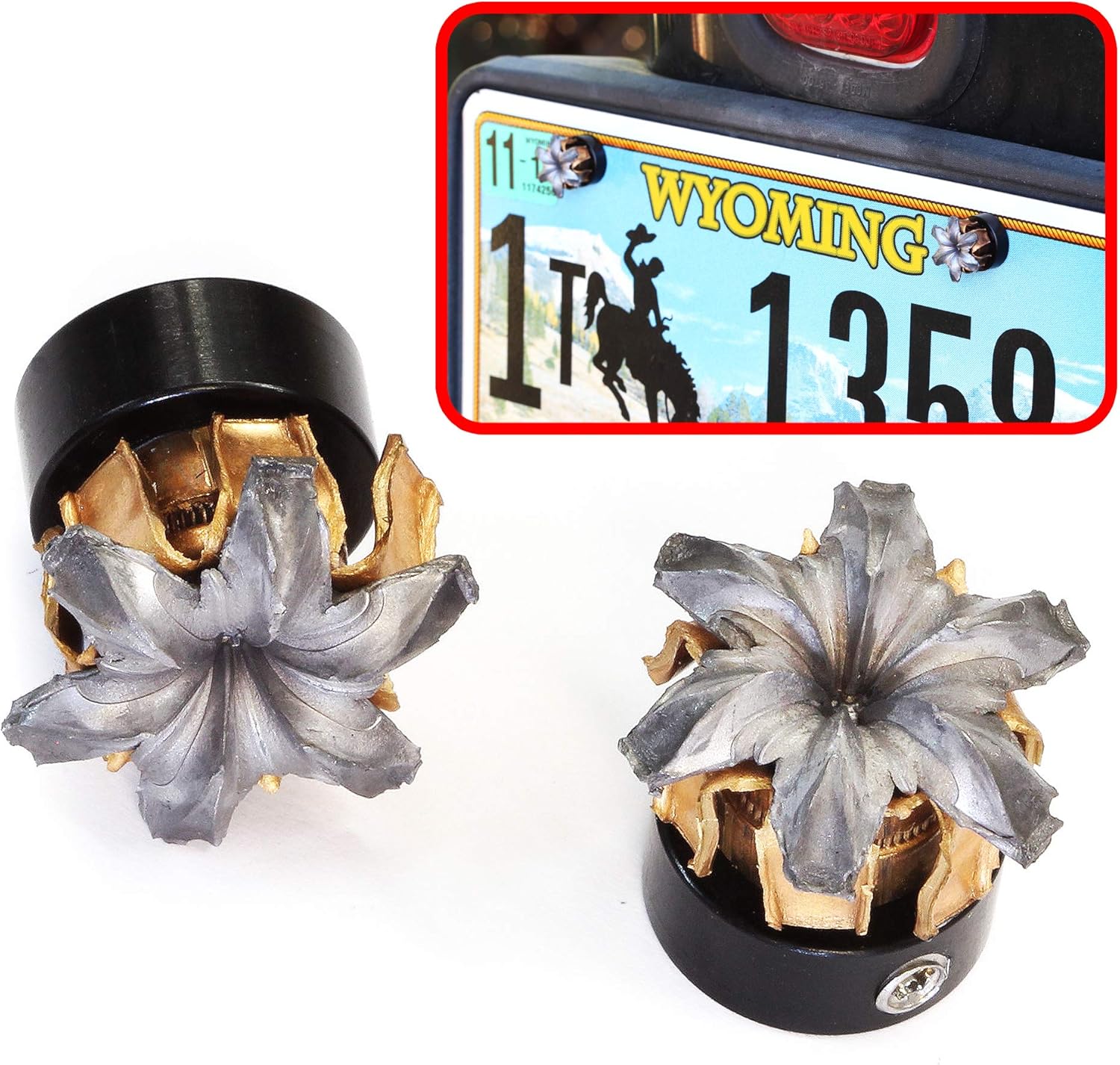 Automotive License Plate Security Bolts by Bullet Bouquets