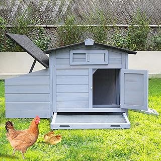 Poulailler résistant à l'hiver 106 x 64 x 71 cm, poulailler avec nichoir en bois, poulailler pour 2 poules, toit isolé et bac à déjections galvanisés, facile à nettoyer