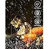 Product Photo 4