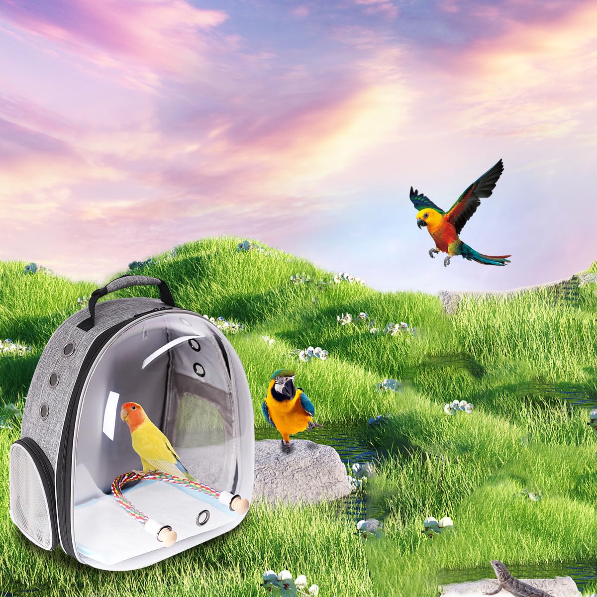 Mochila transportadora de aves Interfashioner®, mochila transportadora de pájaros de burbujas con almohadilla absorbente y percha de pie (Gris Pluma)