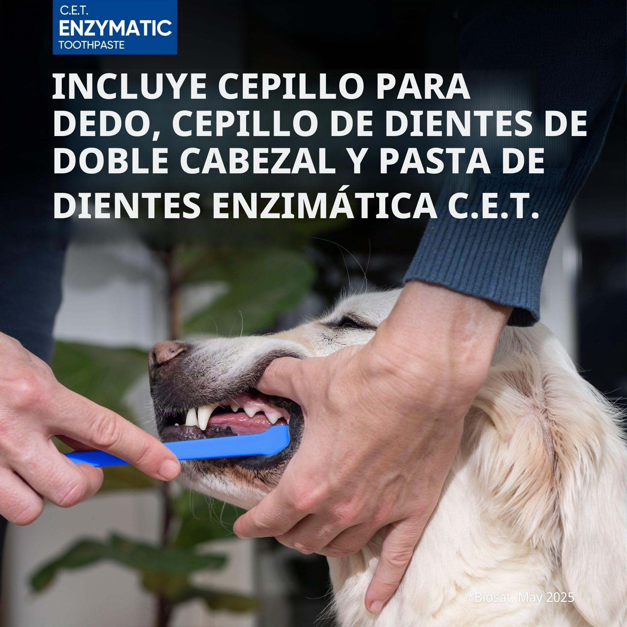 Virbac C.E.T. Kit de higiene Oral 1 Versión Original