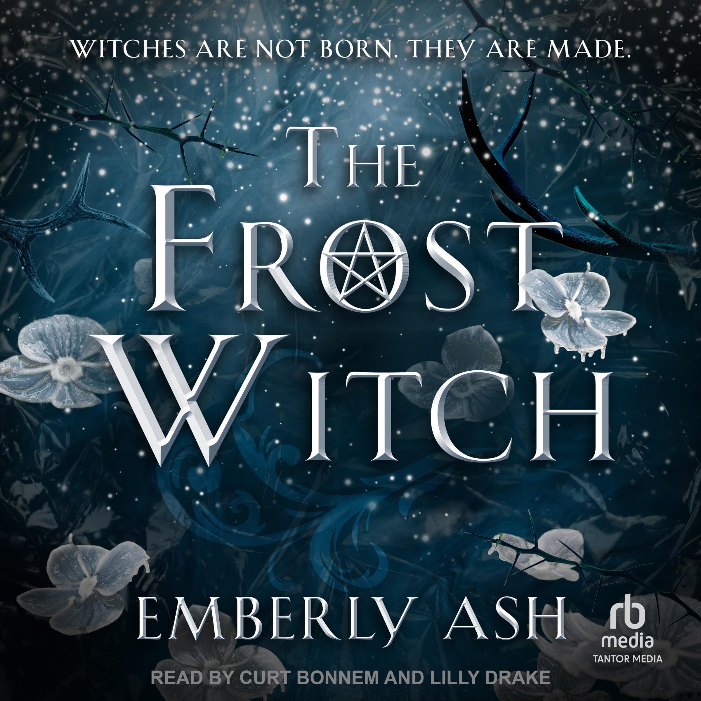 Cover art for The Frost Witch
