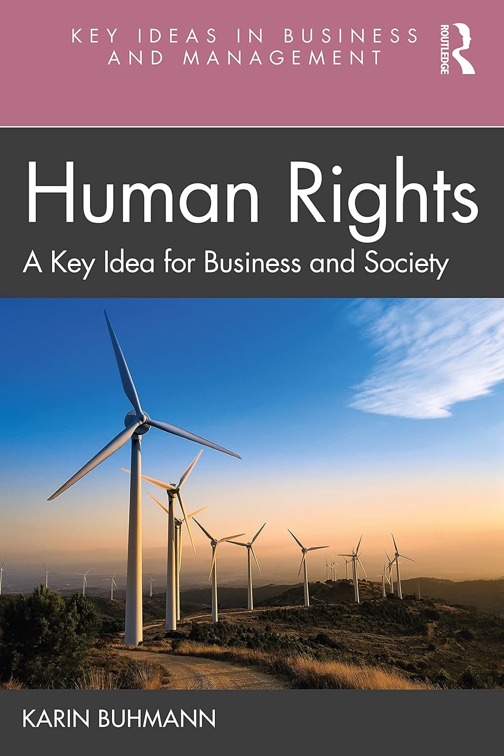 Human Rights (Key Ideas in Business and Management) by Karin Buhmann