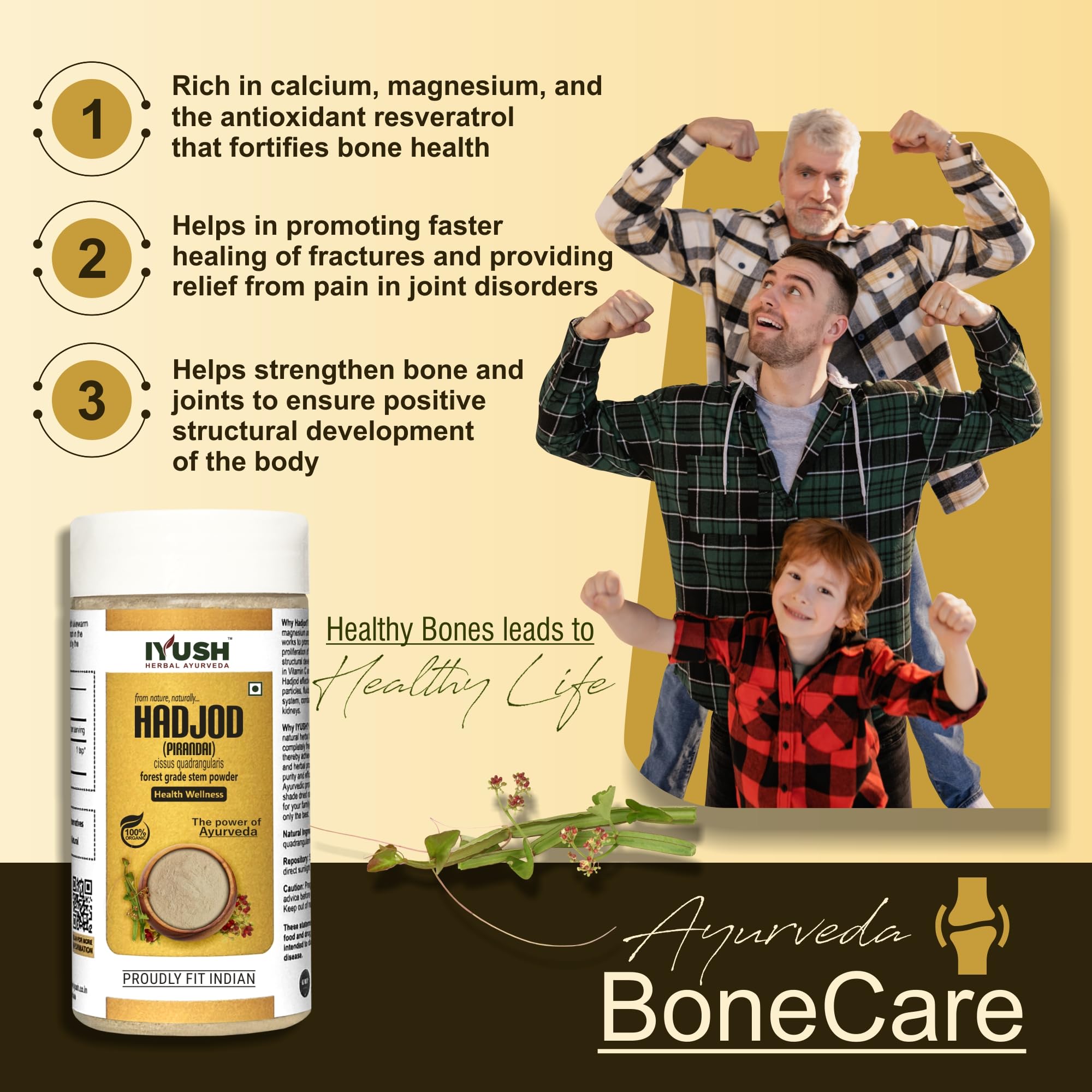 IYUSH Herbal Ayurveda Hadjod Powder β 250gm | Pirandai Powder | Cissus Quadrangularis Powder | Bone Strength Supplement | 1