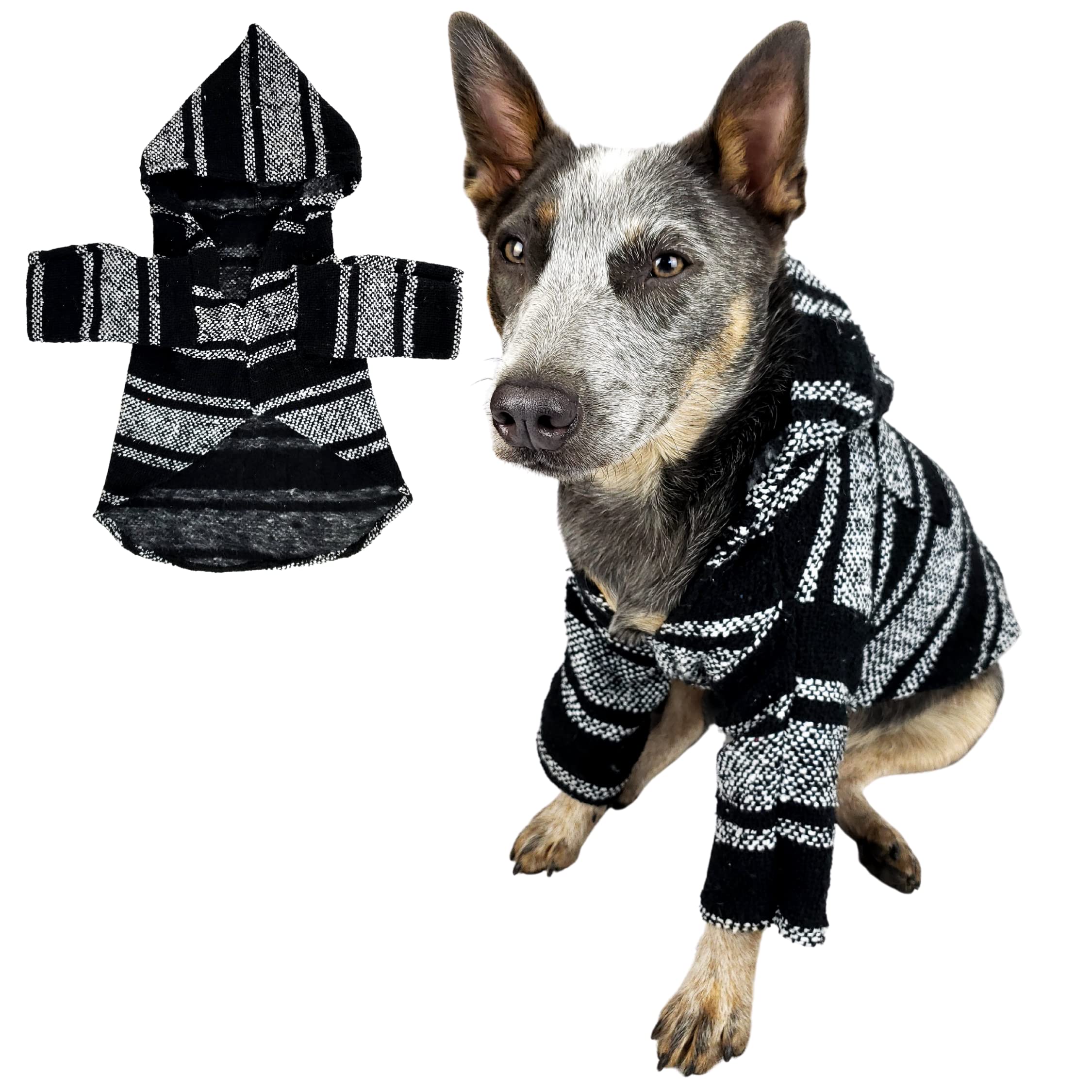 Arriba 100+ imagen mexican dog outfit Abzlocal.mx