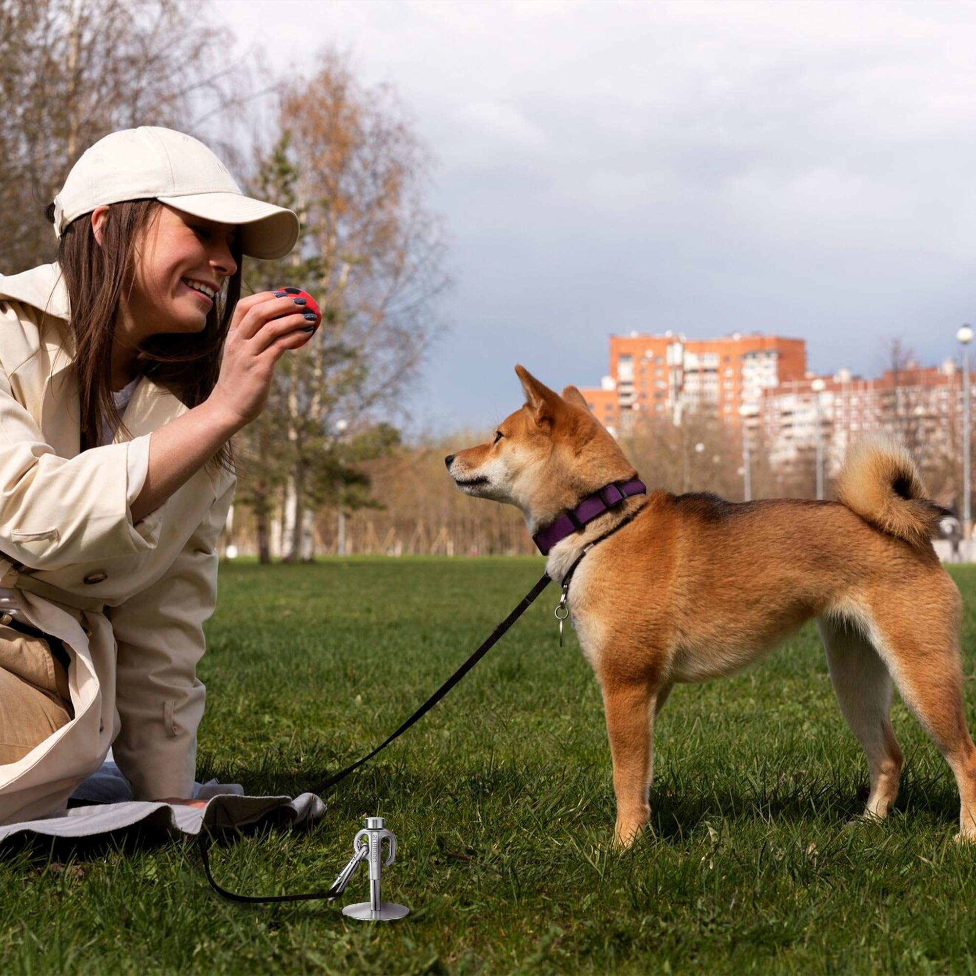 Dog Tie Out Stake Dog Runner For Yard TOPKNOT ,Heavy Duty Dog Run