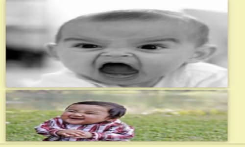 KidsMeMes
