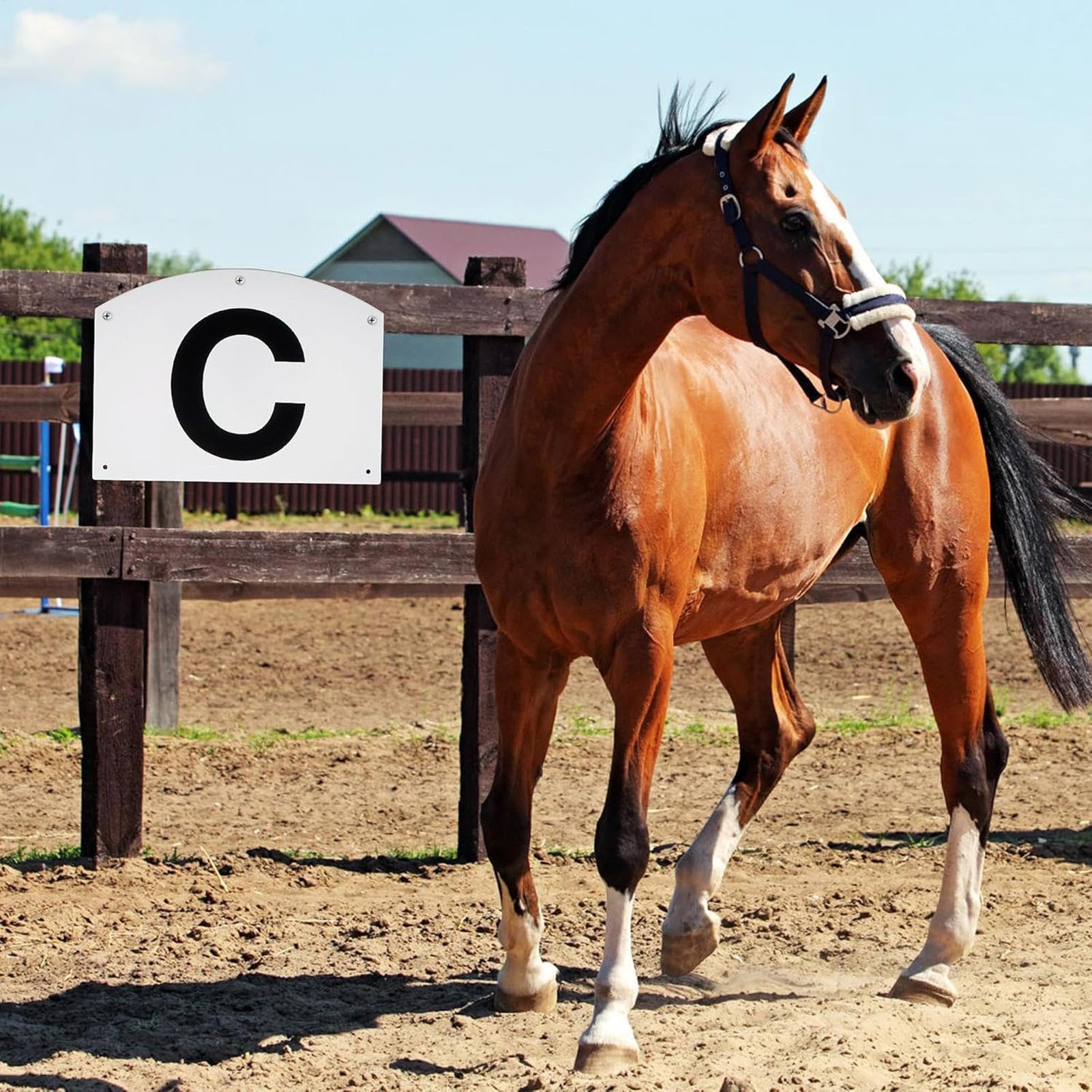 Complete Dressage Markers Set, Weather Resistant Dressage Letters, Sturdy coliseum Training Markers, Portable Dressage Equipment, Competition Dressage Letter Set, SturdyTraining Dressage Markers