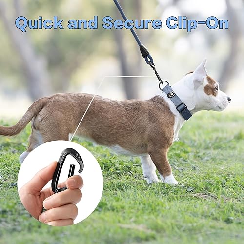 Miniatura 6 de PawsPassion - Correa de cuerda para perro de 6 pies, correa de perro resistente 2 en 1 con hebilla de cinturón de seguridad, mosquetón giratorio de