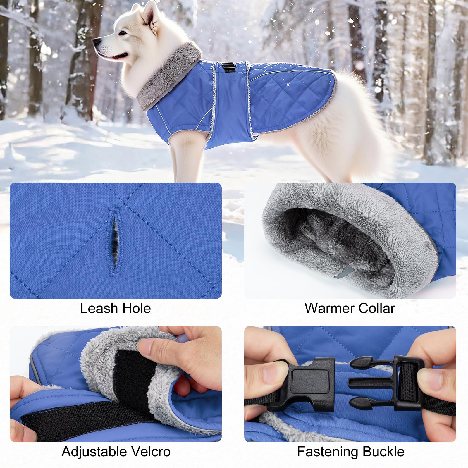 Cappotto invernale per cani con lacci (blu, S)