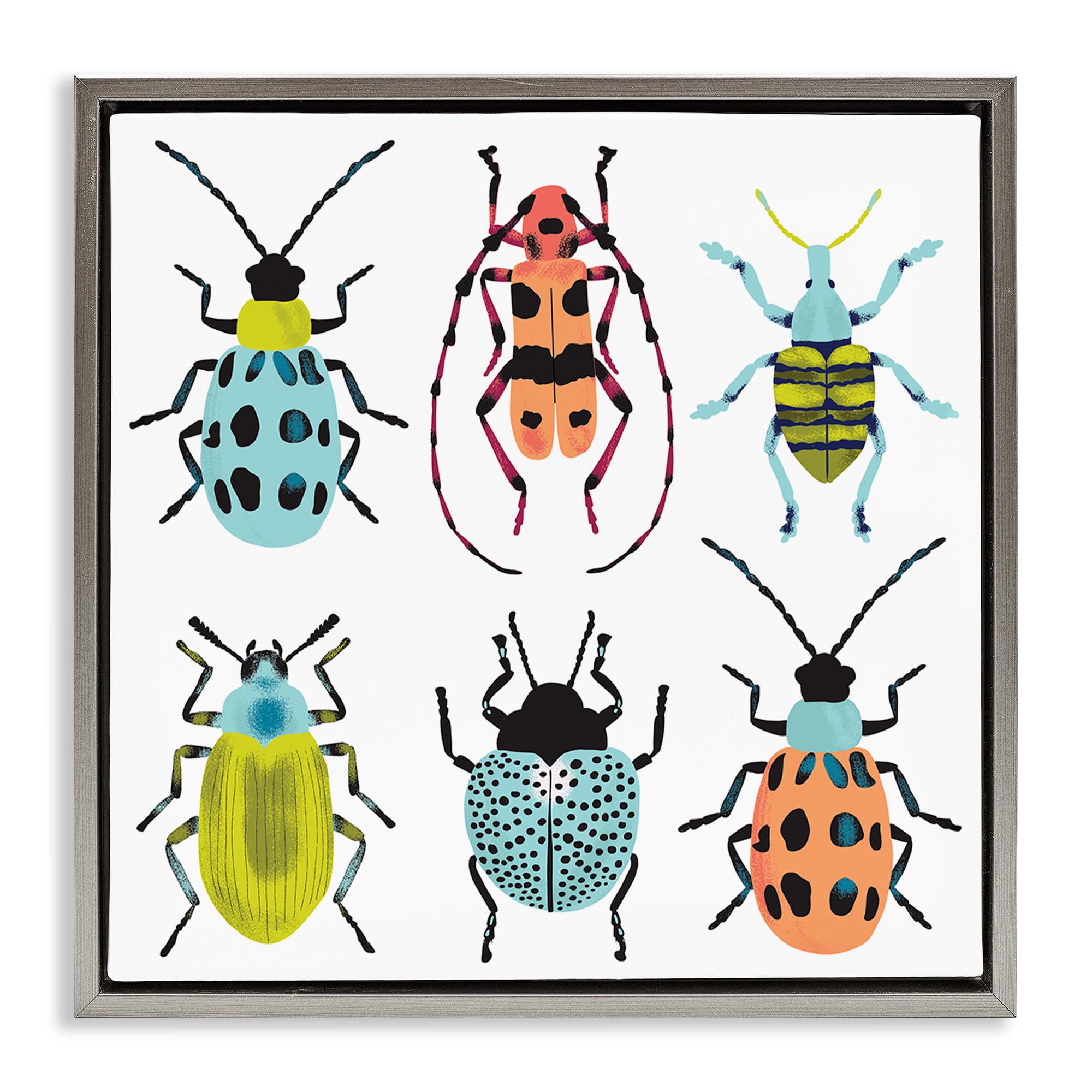 Stupell Industries Luster Gray (Matte) 'Beetles & Bugs Collection'| Floating Frame Canvas Art