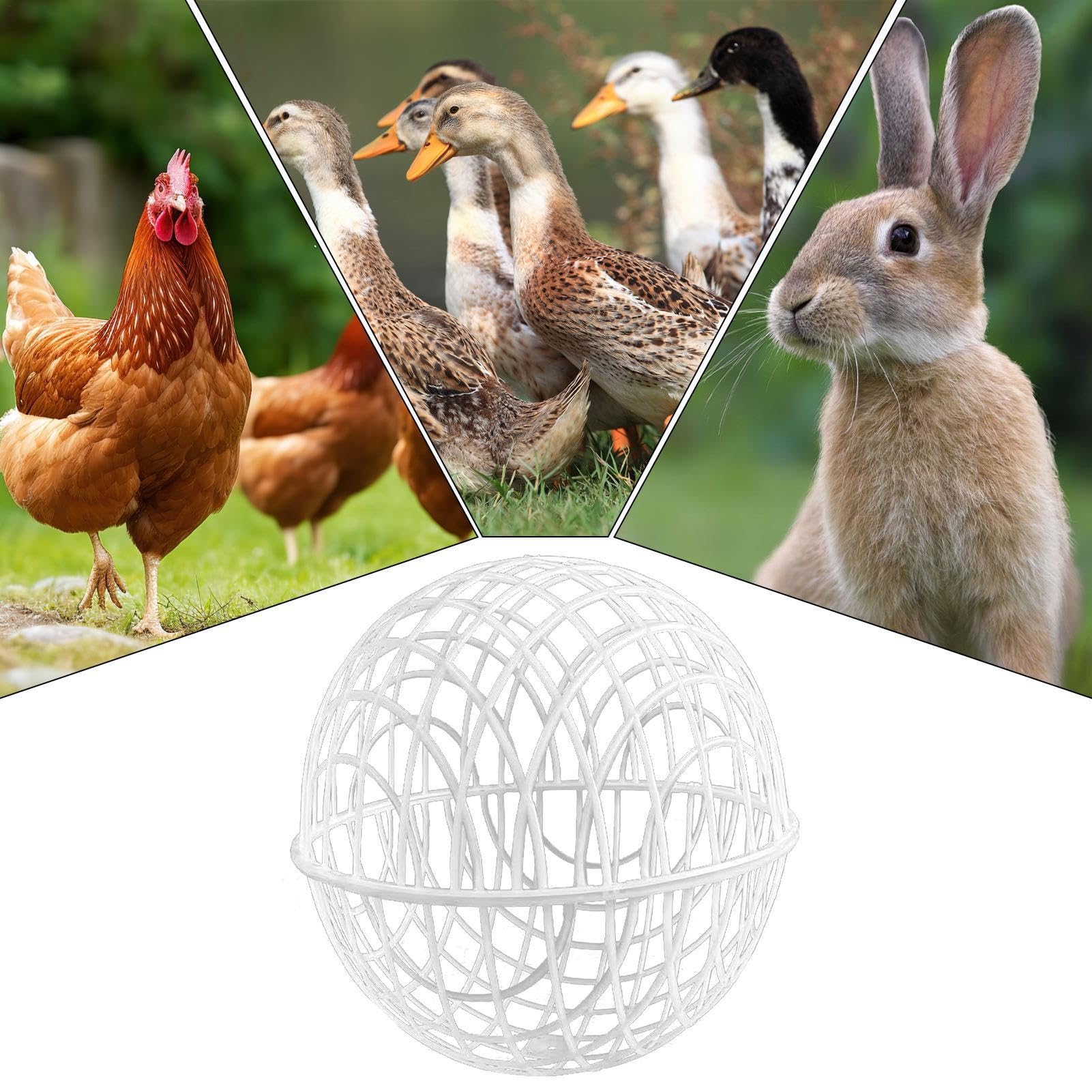 3 Pieces Ball-Shaped Movable Chicken Coop Chicken Balls Cage Farm Outdoor Rolling Bunny Duck Hutch Safe Walking Net Preventing Dog Bites Trampled by Horse — view 5