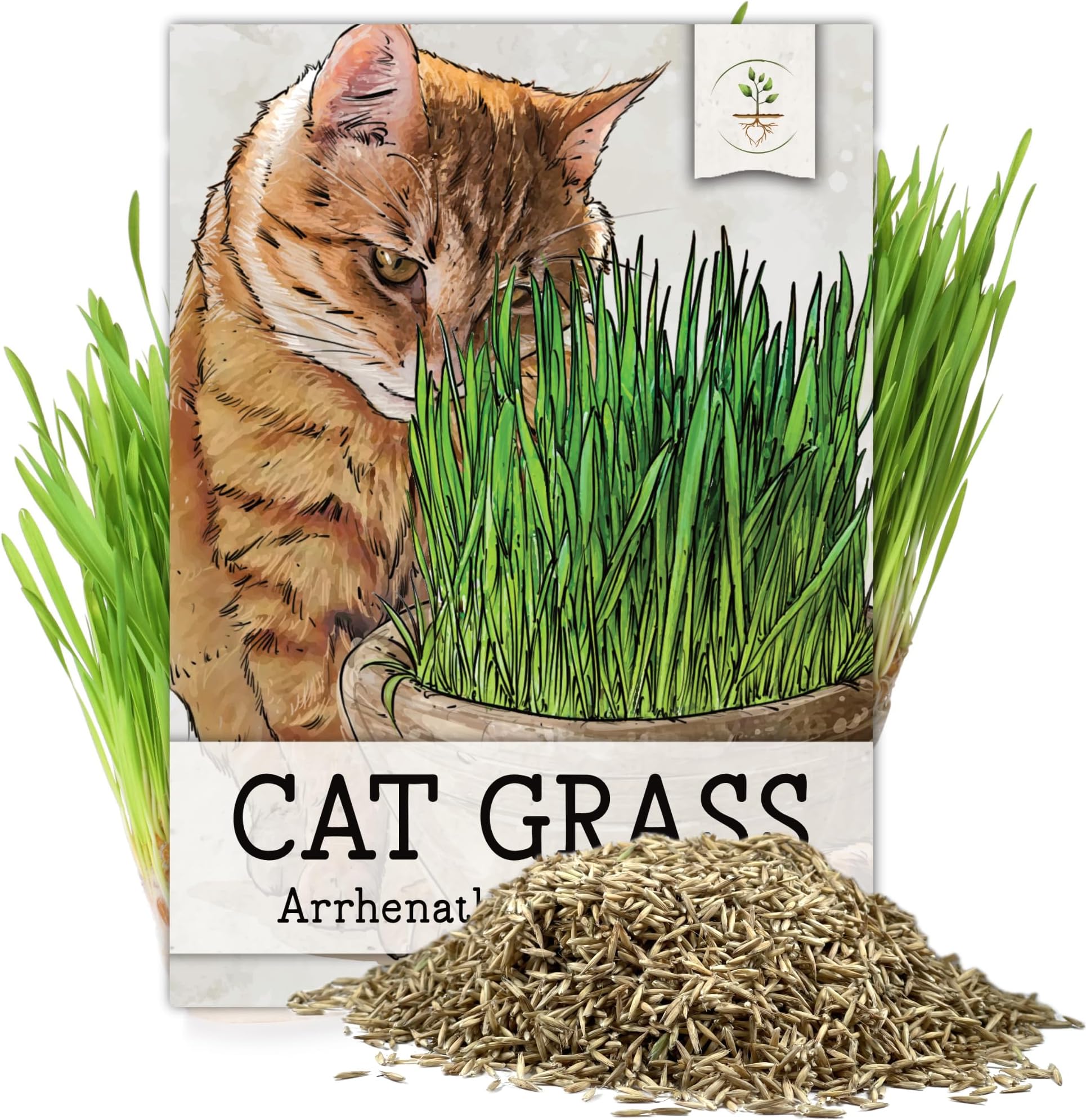 Sow Right Seeds Bulk Cat Grass Seed for Planting 100