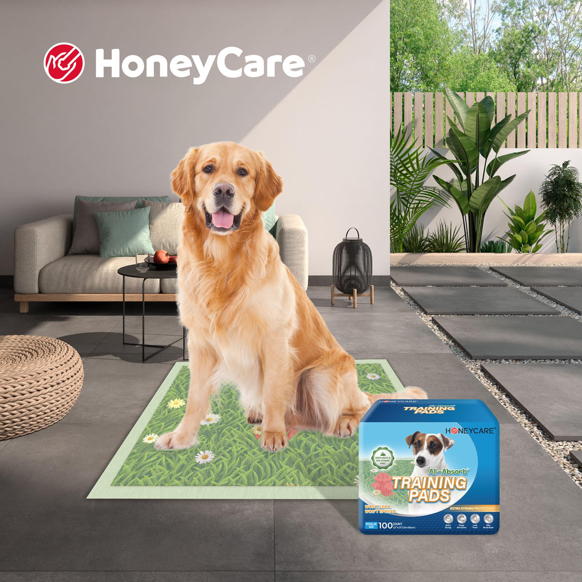 HONEYCARE - Almohadillas de Entrenamiento para Perros con impresión de césped e hidrante de Incendio, Almohadillas para Eliminar el Olor de orina para Cachorros, Almohadillas