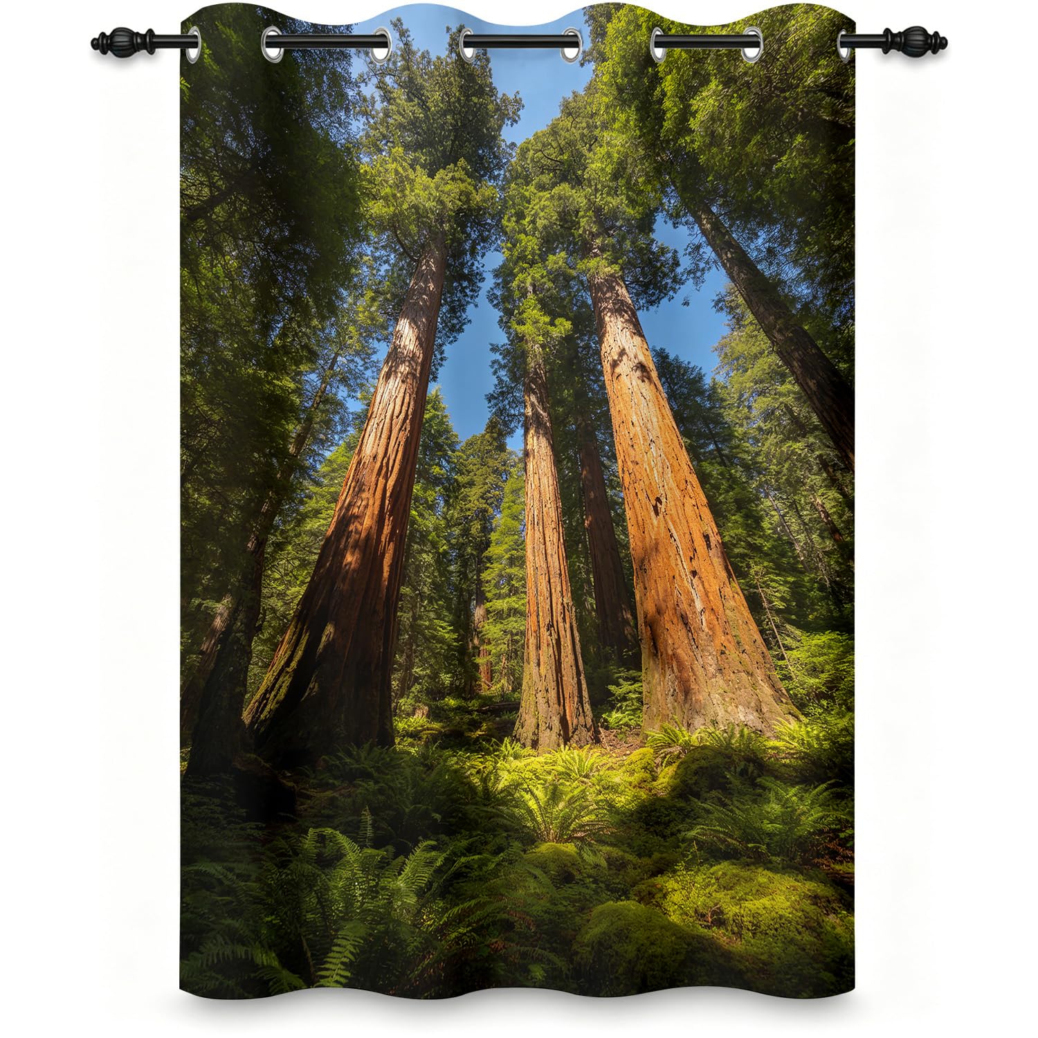 Tenda Divisoria Interna 3D Sequoia Gigante 140 x 200cm | Pannello Oscurante e Termico per Porta e Finestra Foresta Tropicale, con Occhielli per Camera, Soggiorno e Armadio