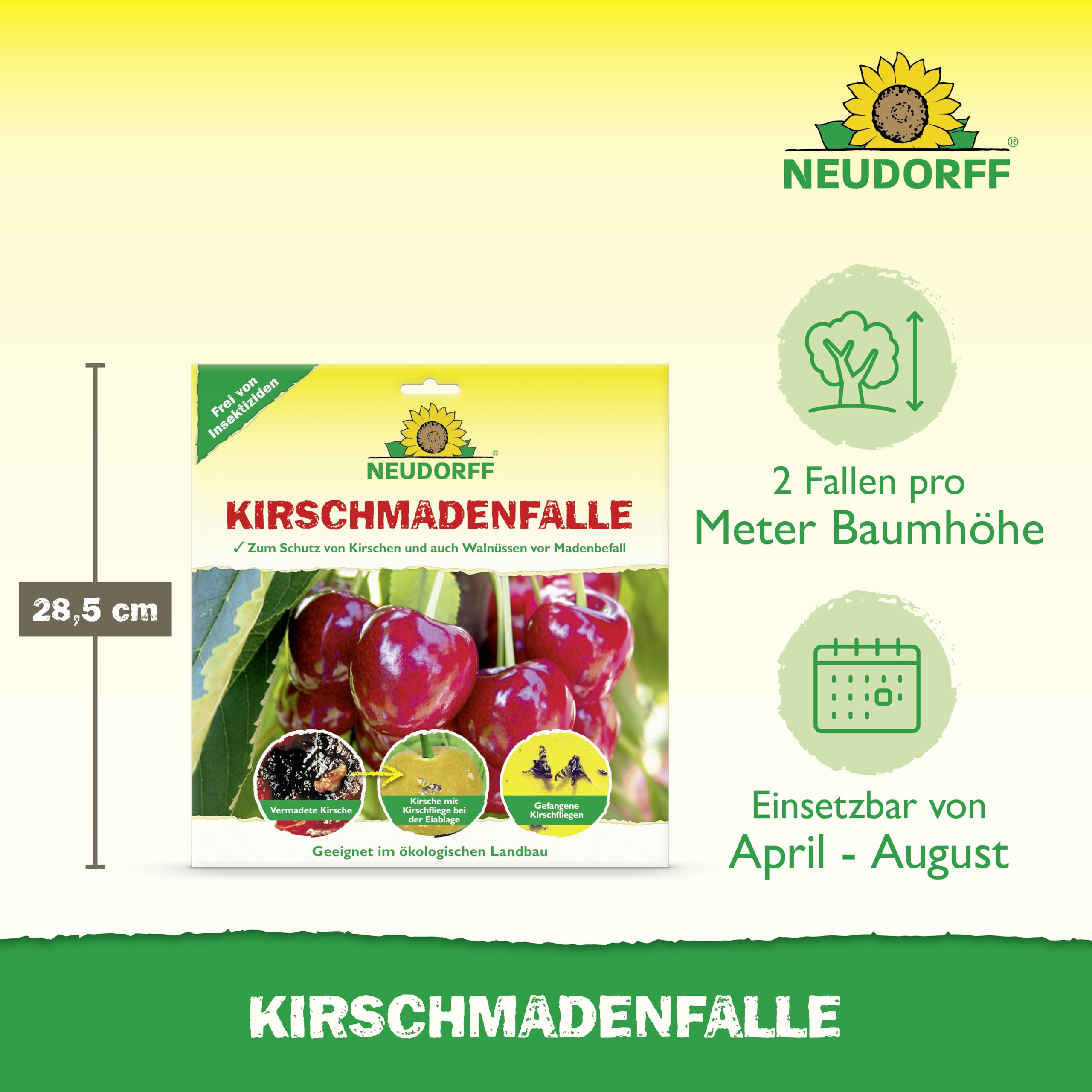 Neudorff KirschmadenFalle – Schützt Kirschen und Walnüsse vor Madenbefall, insektizidfreie Leimfalle, 7 Stück