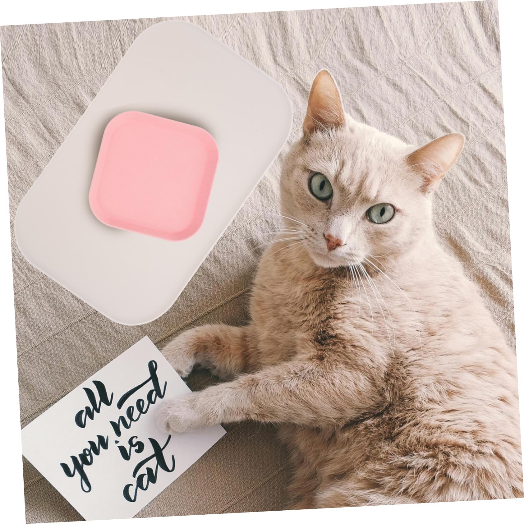 Happyyami 4stücke Silicone Pet Feeding Mat Mit Erhöhtem Rand wasserdichte Futtermatte Für Hunde Und Katzen rutschfest Leicht Zum Schutz des Bodens Beim Füttern Bietet Komfort Und