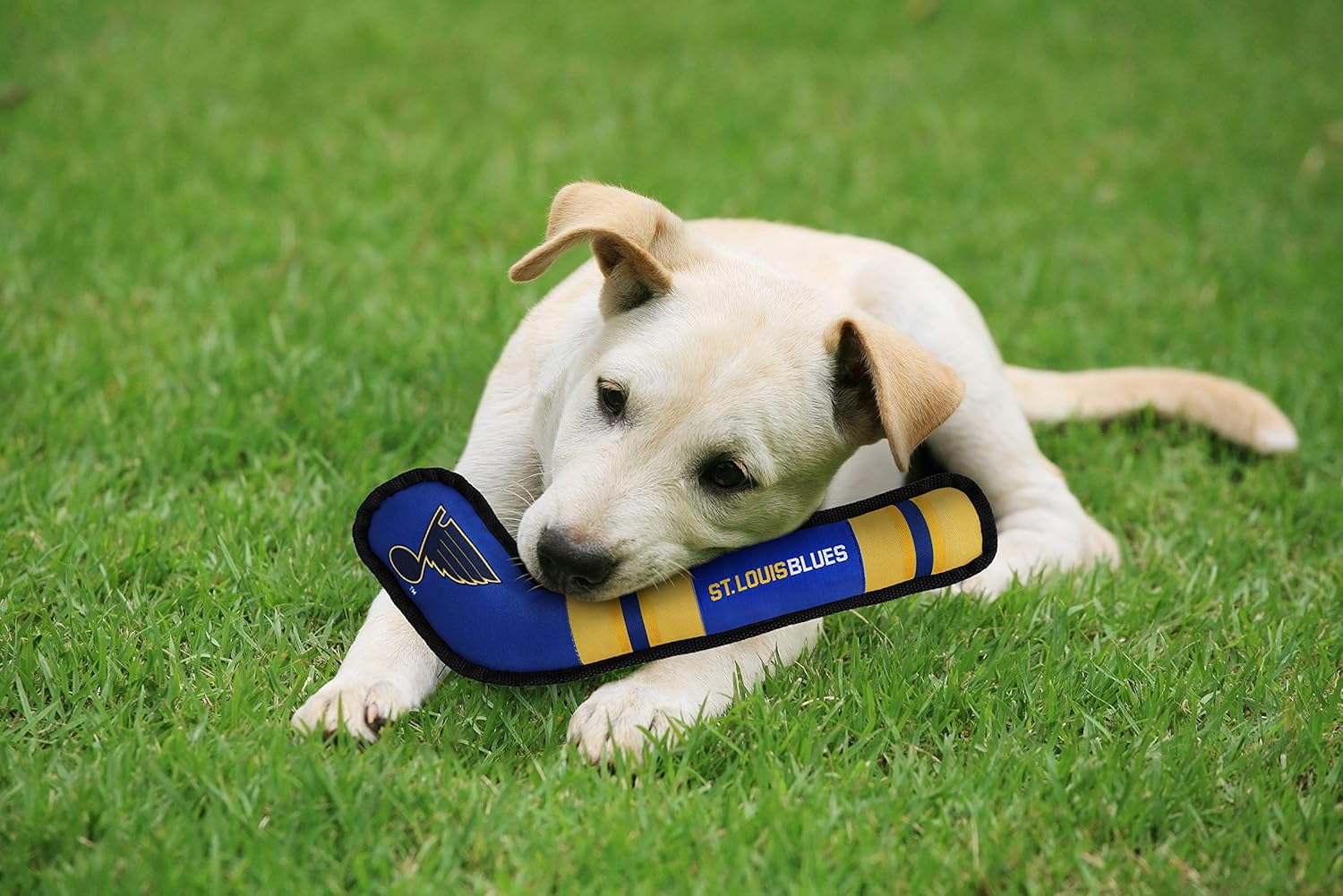 Pet Supplies : Pets First Dog Toy Tough Nylon with Inner Squeaker Licensed by NHL Boston Bruins Hockey Stick Toy for Dogs & Cats. Play Hockey with Your Pet with This Licensed Dog Tough Toy : 