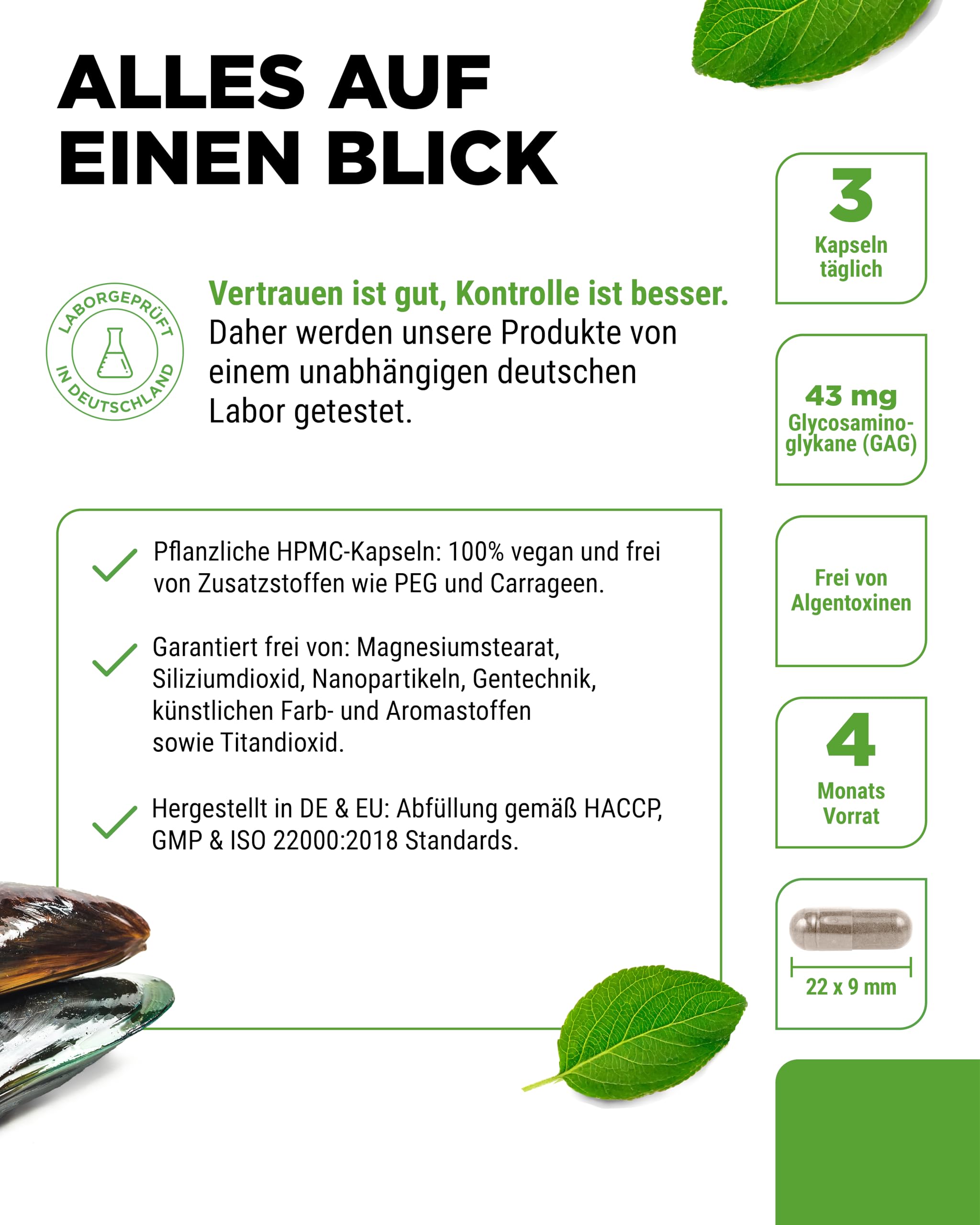 vit4ever Grünlippmuschel - 365 Kapseln - je 600 mg | Glycosaminoglykane, 100% Grünlippmuschelpulver aus Neuseeland, hochdosiert
