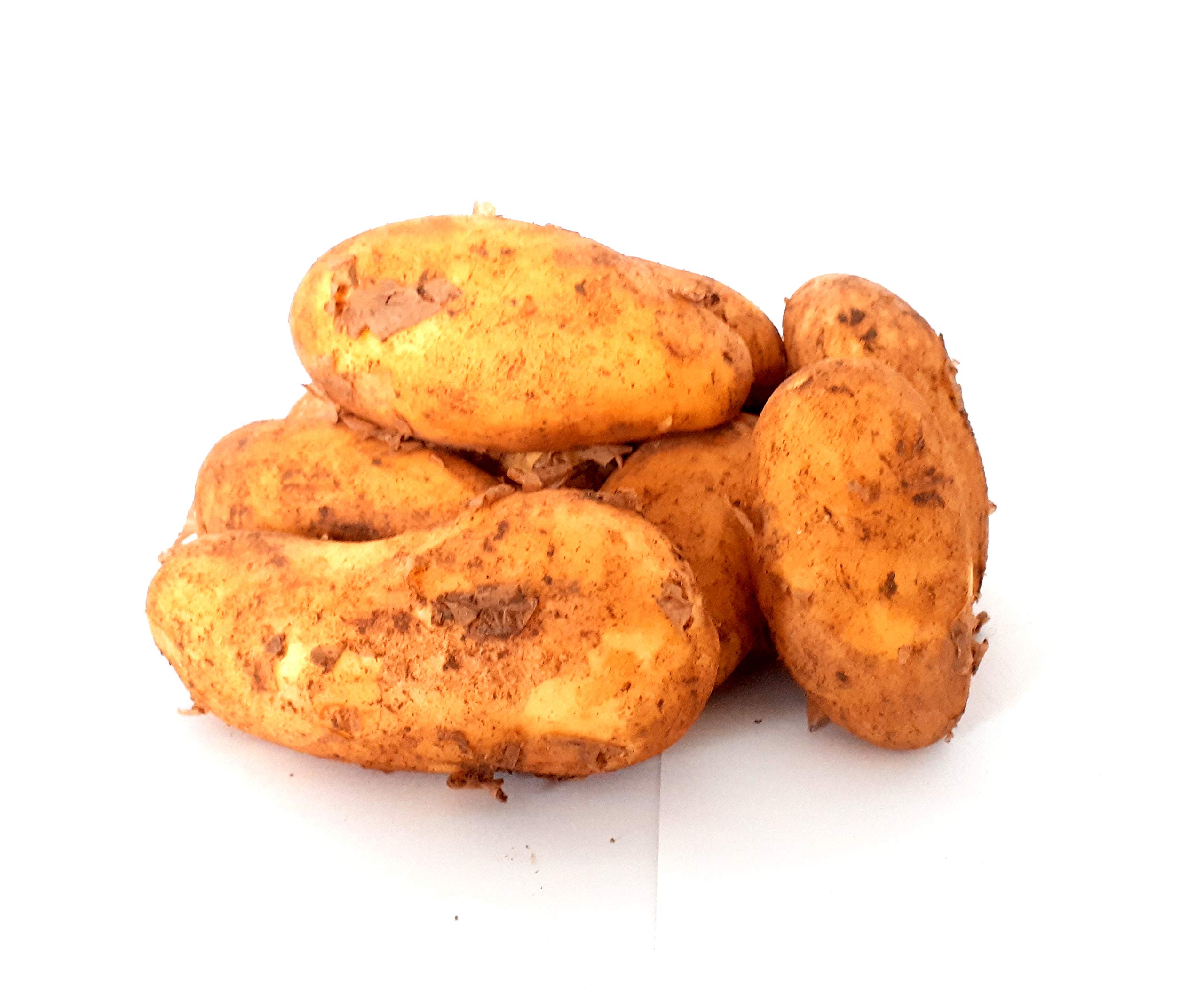 Kartoffeln Speisekartoffeln Annabelle 1-25 KG frische Ernte 2025 festkochend Salatkartoffel zum Grillen für Kartoffelsalat, Pellkartoffeln, Bratkartoffeln, Pommes Frites, Butterkartoffeln (10)