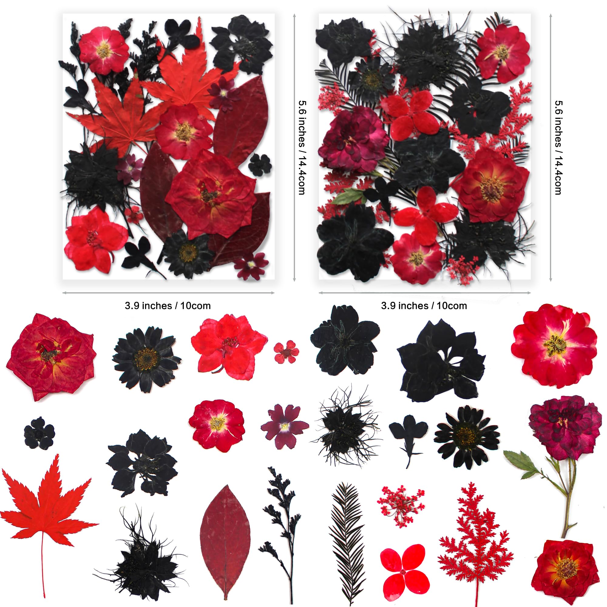 YouthBro 141PCS Black Red Dried Pressed Flowers for Resin Real Nature Flowers Herb Set for Christmas DIY Candle Soap Vase Making Nail Card Scrapbook Art Craft Floral Decors - Image 4