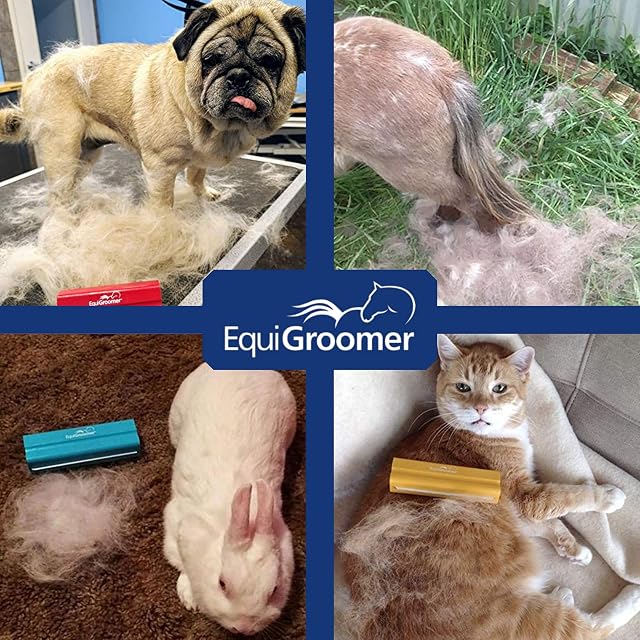 Foto 6 de 8 de EasyGroomer - Cepillo para eliminar el pelo para perros y gatos