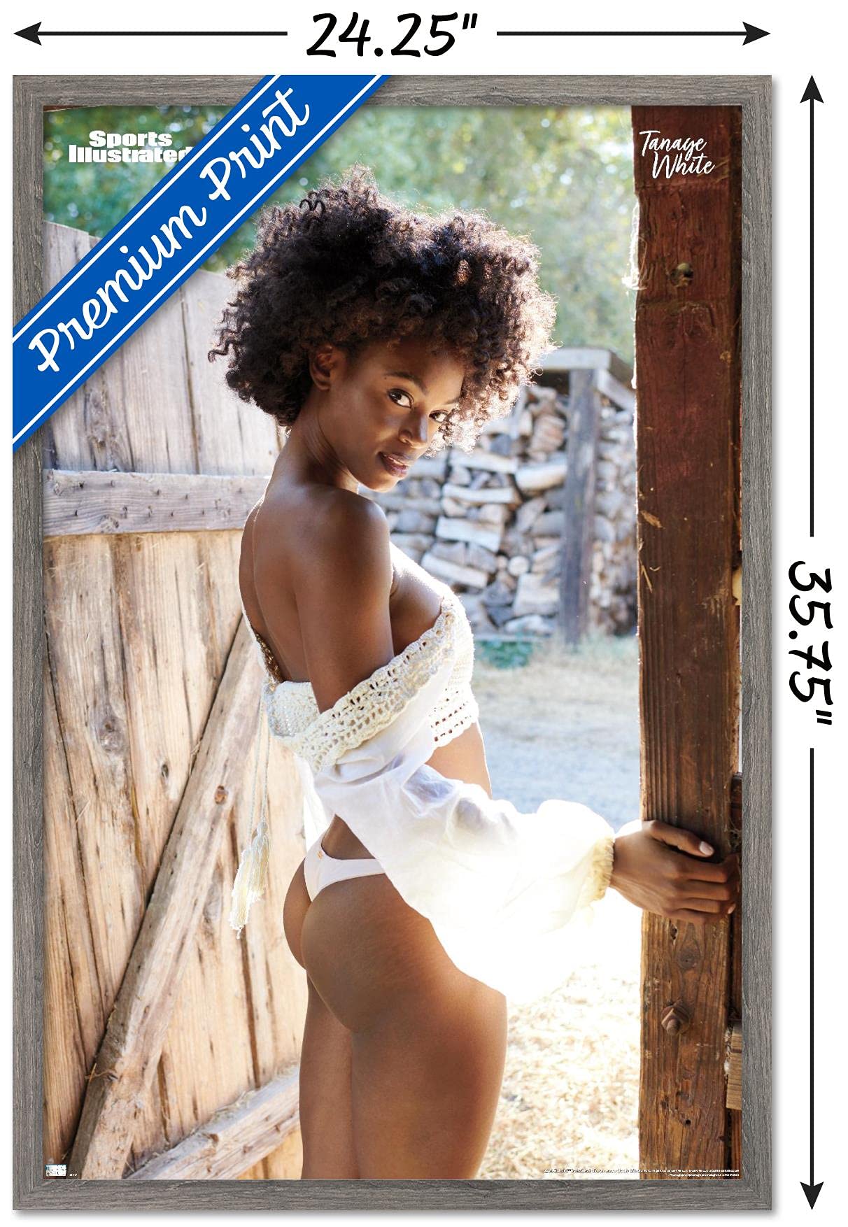 Amazon.com: Trends International Sports Illustrated: Swimsuit