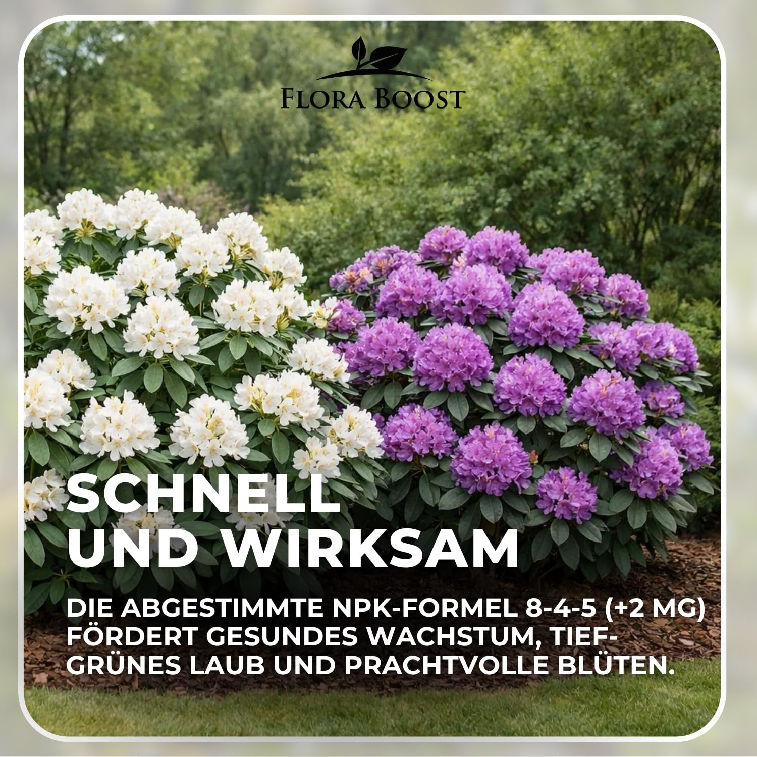 Flora Boost PRO Rhododendron Dünger Langzeitwirkung 5 kg