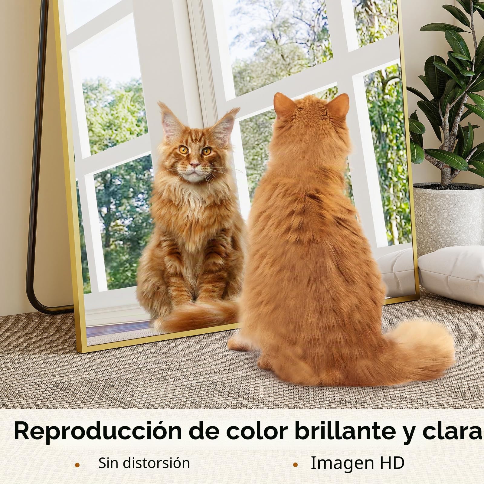 BEAUTYPEAK Espejo de cuerpo entero 60x165 cm a prueba de roturas, espejo de pie colgante, dorado