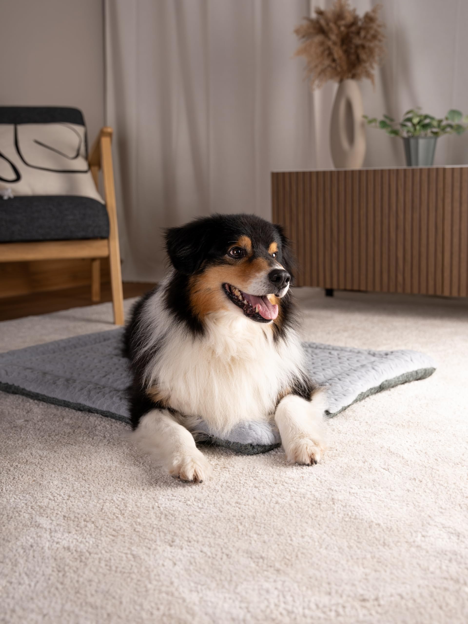 TrendPet Mijn restaurantdeken - reisdeken voor honden en katten (L 100x70cm