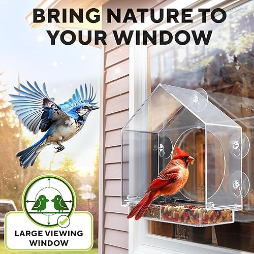 Miniatura 6 de Premium Window Bird Feeder for Outside - Clear Bird House wLargest Window for Viewing Birds - Easy to Install & Sturdy Feeder wExtra Strong Suction