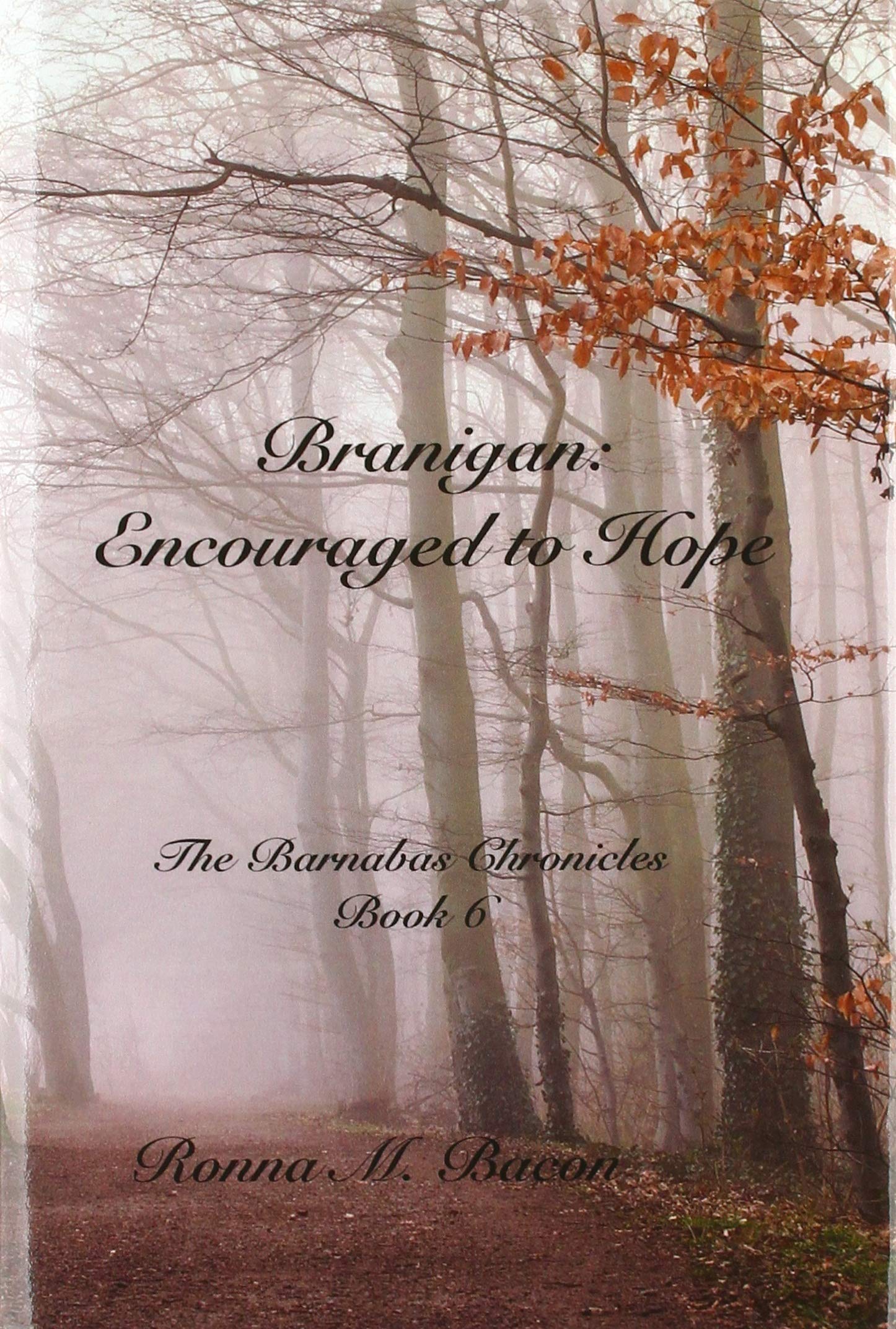 Branigan: Encouraged to Hope by Ronna M Bacon HARDBACK 9781989699287