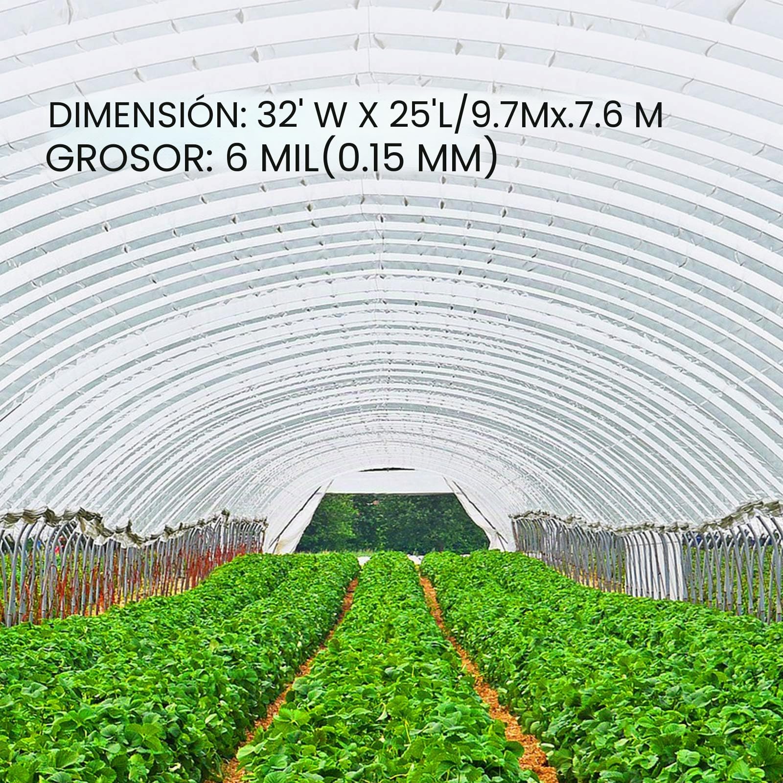 VEVOR Película de Polietileno para Invernadero, Dimensión de 9,7 x 7,6 m Invernadero Plástico Transparente, Espesor de 0,15 mm Paño Anticongelante para Plantas, Fácil de Bricolaje para Agricultura