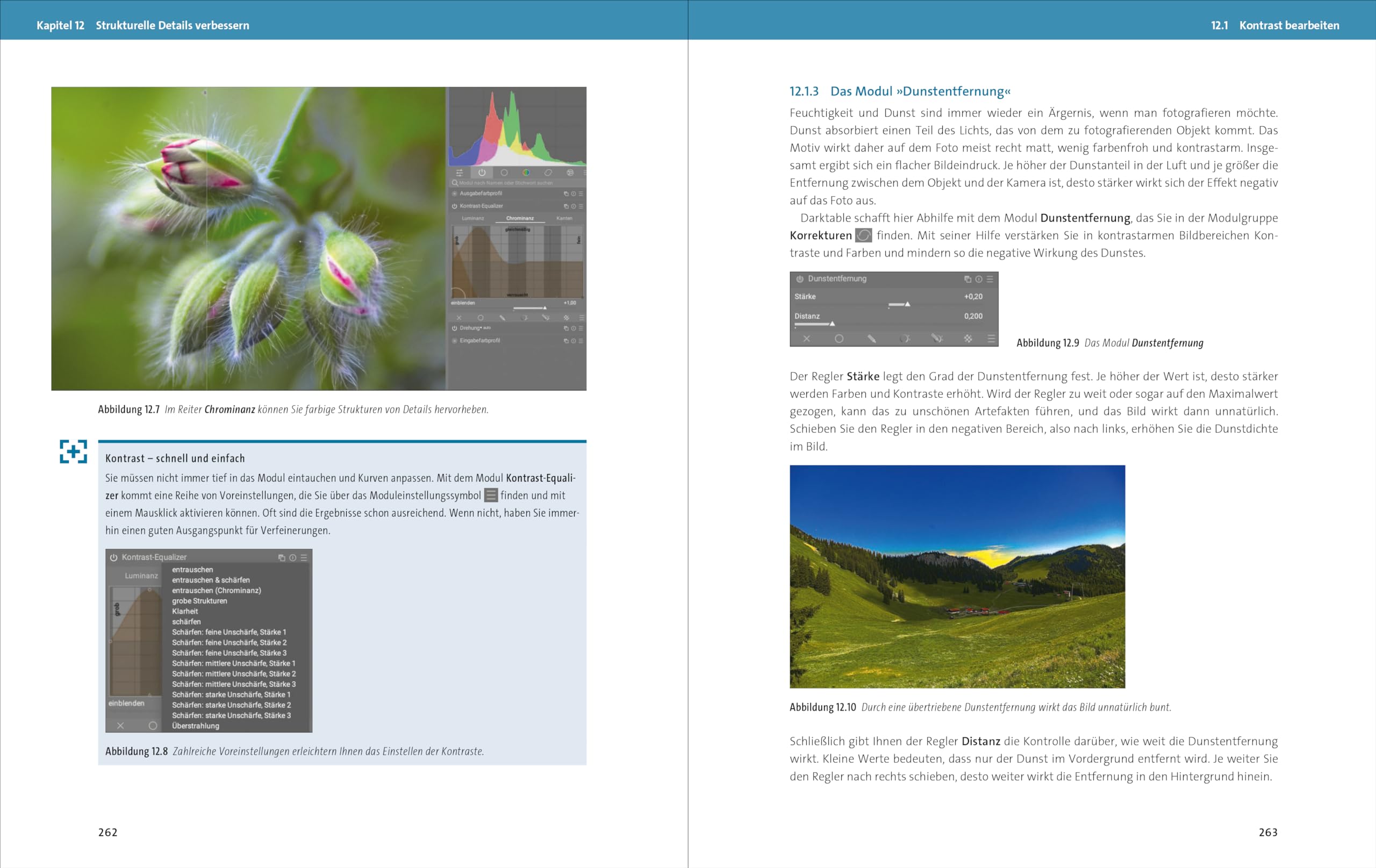 Darktable: Das umfassende Handbuch. Profi-Tipps und Expertenwissen zur Bildbearbeitung. Mit vielen Workshops und Beispielen