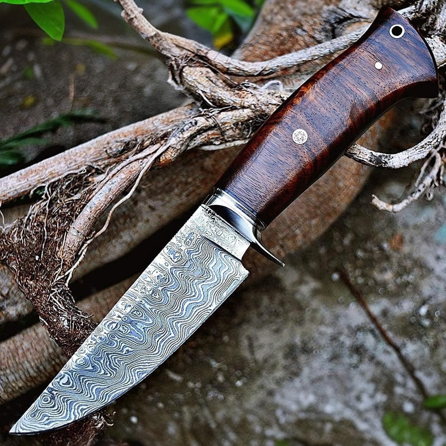 BIGCAT ROAR Handmade Damascus Hunting Knife - Bushcraft Fixed Blade Hunting Knife with Sheath and Walnut Wood Handle - 10″ EDC Skinning Knife - California
